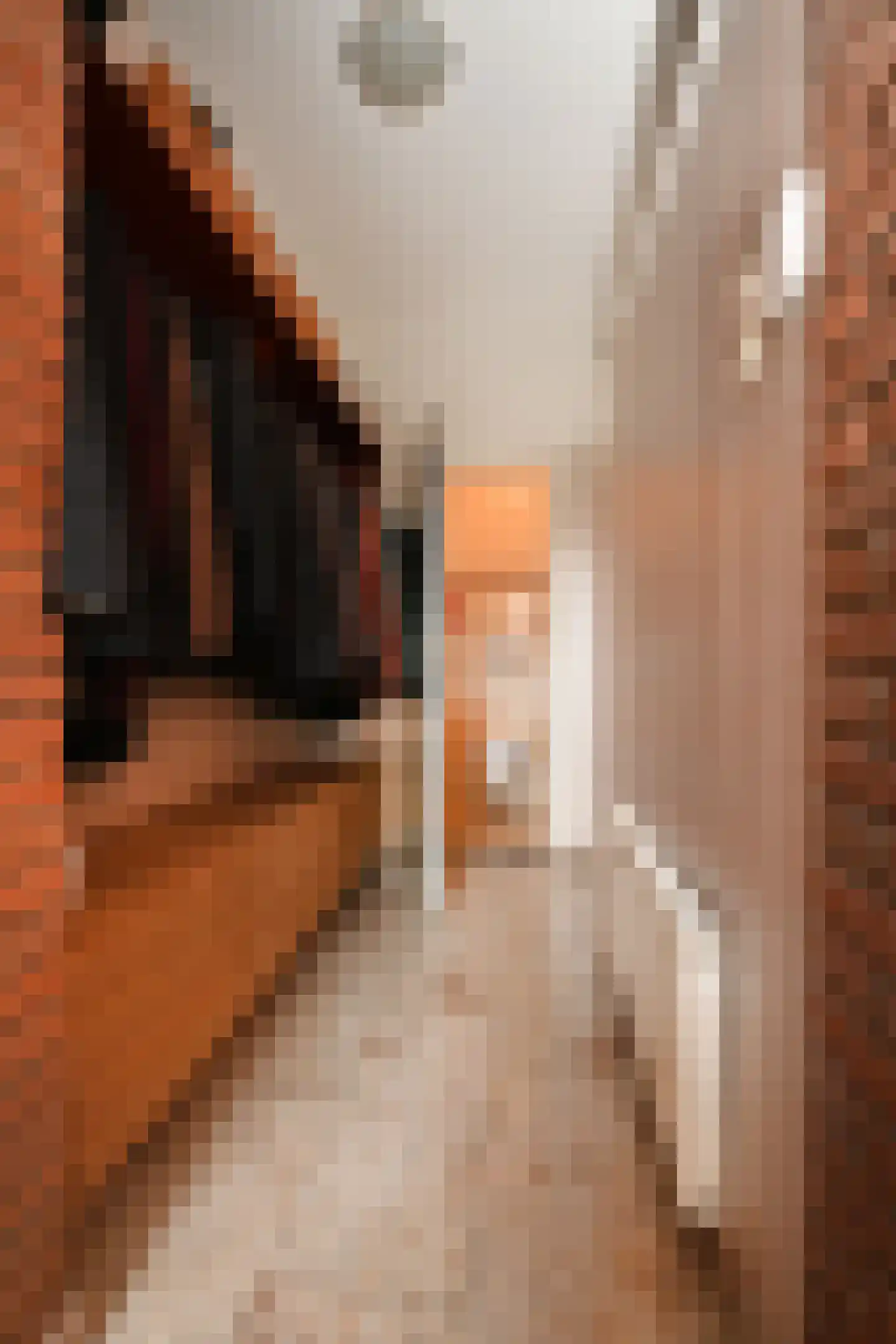 Van Gaverenlaan 45 Steenbergen thumbnail 9