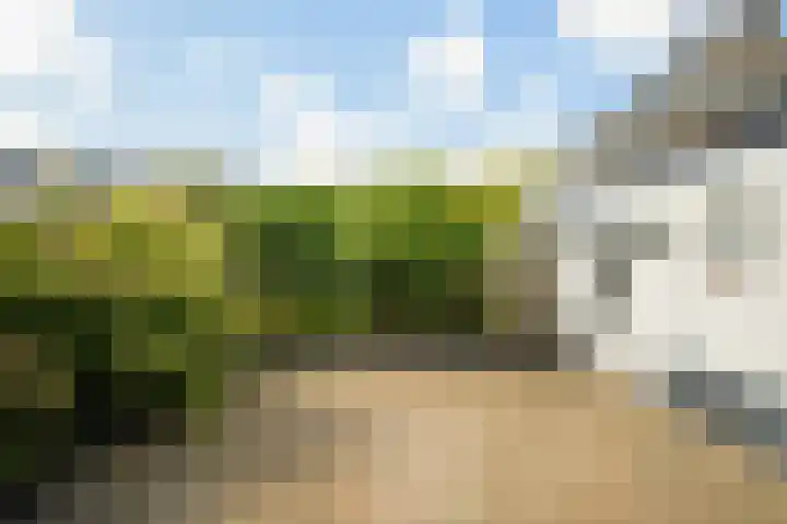van Gaverenlaan 6 Breda thumbnail 38