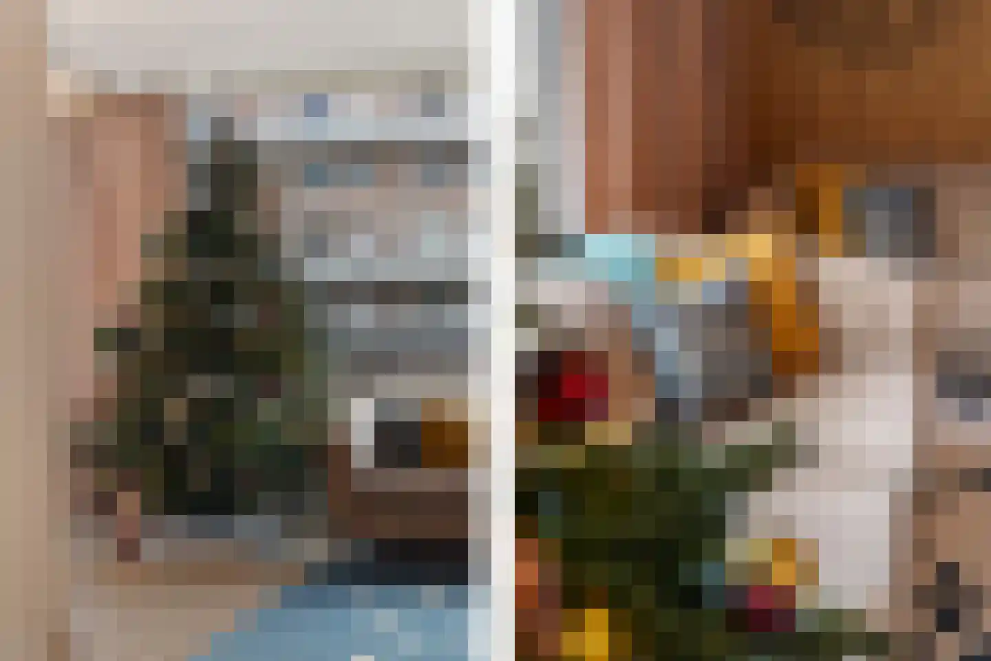 Van Geenstraat 14 Den Haag thumbnail 13