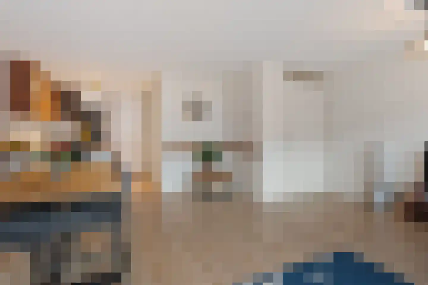 Van Geenstraat 14 Den Haag thumbnail 16