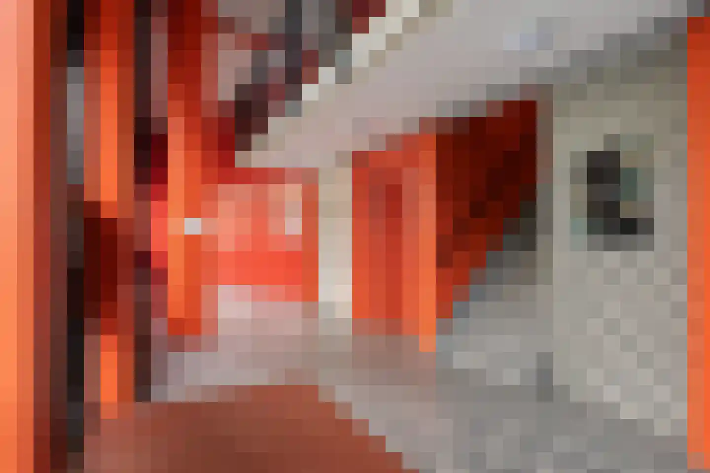 Van Geenstraat 14 Den Haag thumbnail 5