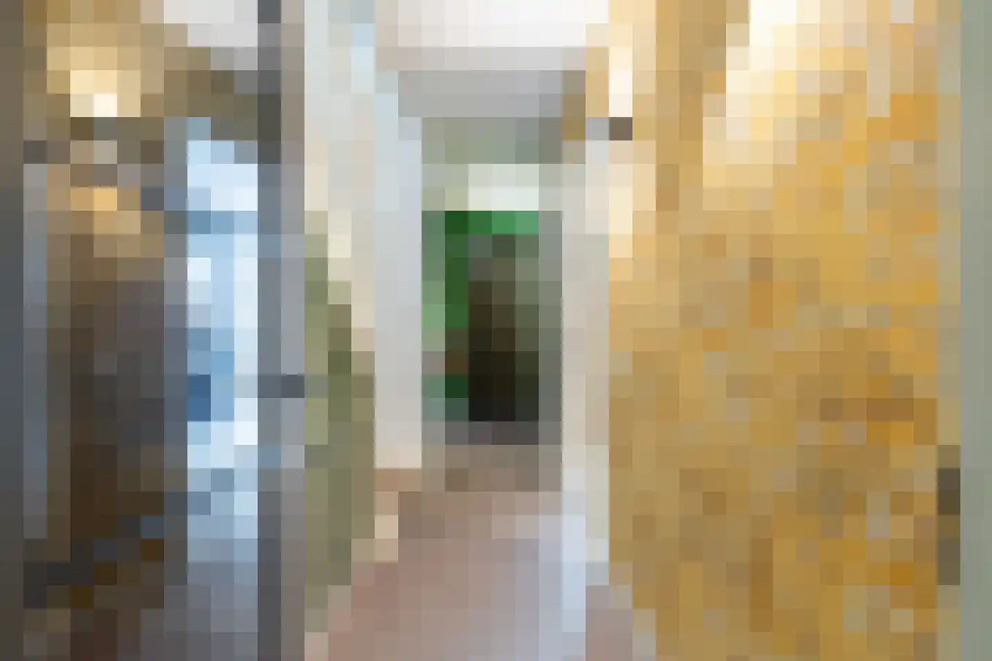 Van Geenstraat 21 Den Haag thumbnail 11