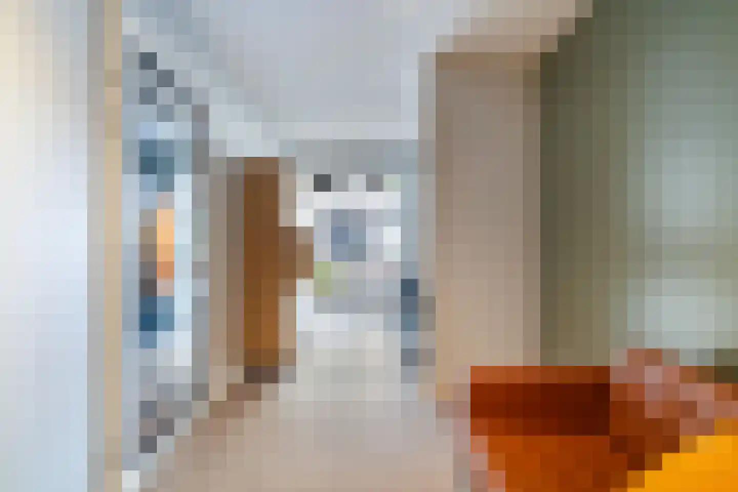 Van Geenstraat 21 Den Haag thumbnail 13