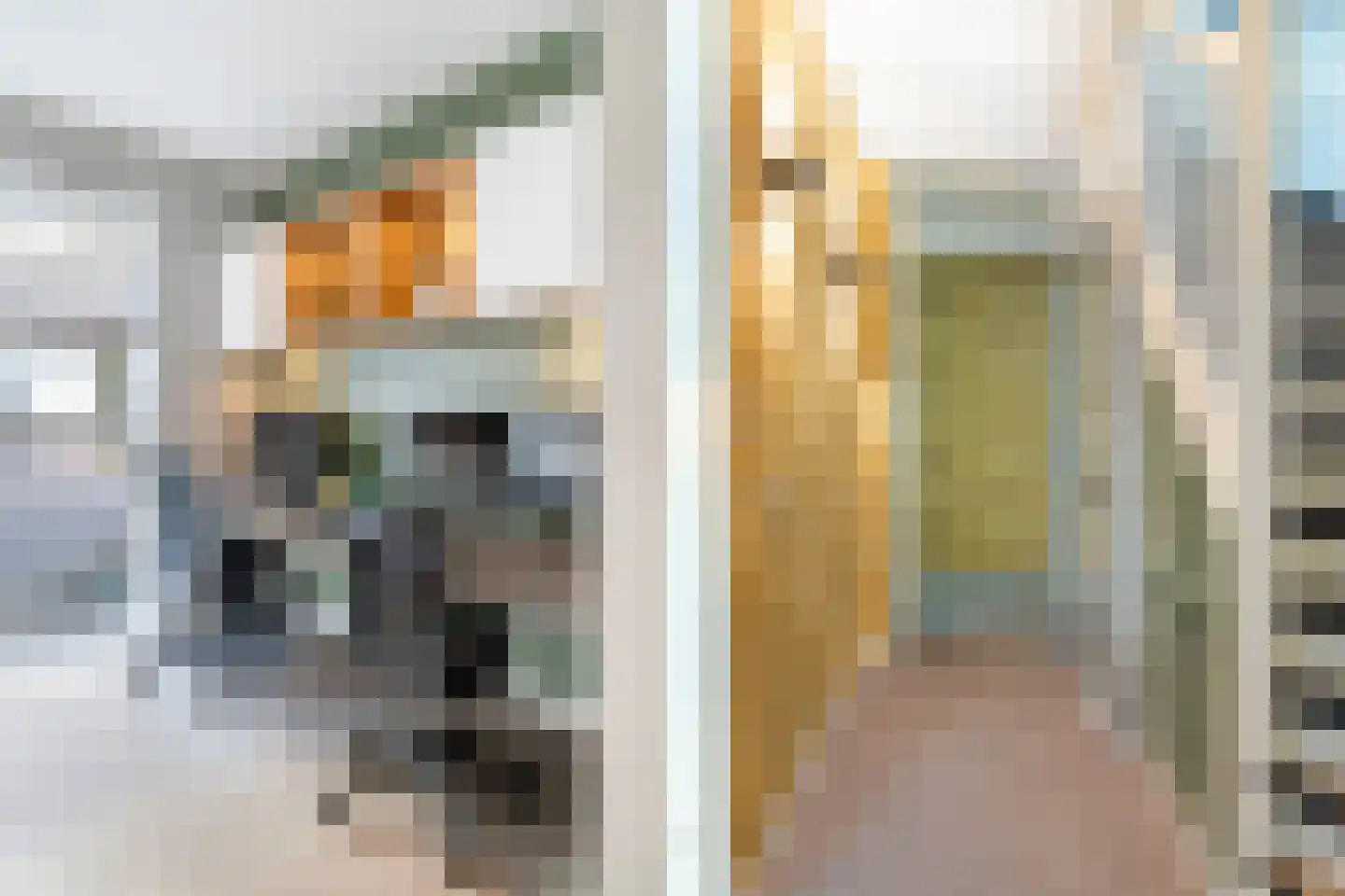 Van Geenstraat 21 Den Haag thumbnail 17