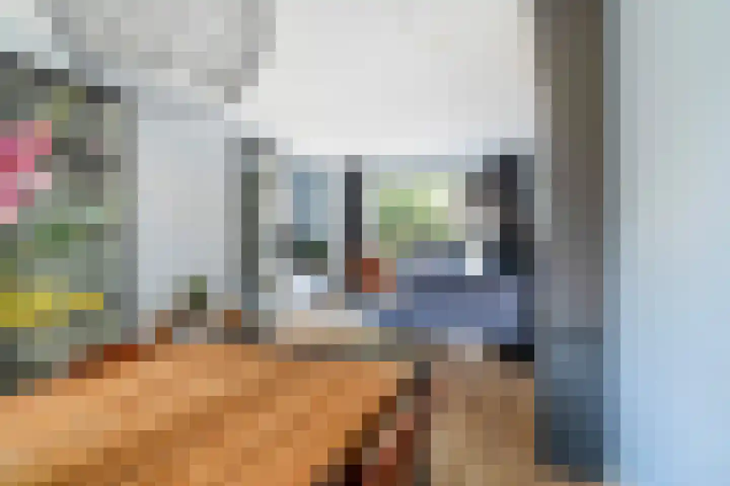Van Geenstraat 21 Den Haag thumbnail 25