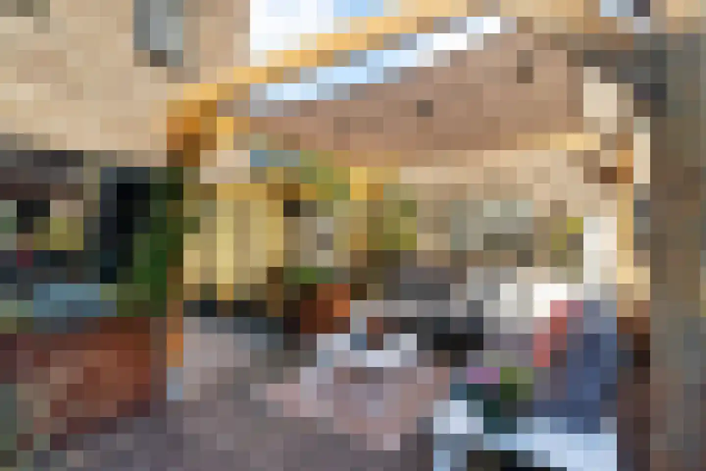 Van Geenstraat 21 Den Haag thumbnail 31