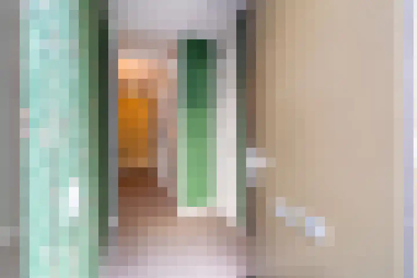 Van Geenstraat 21 Den Haag thumbnail 9