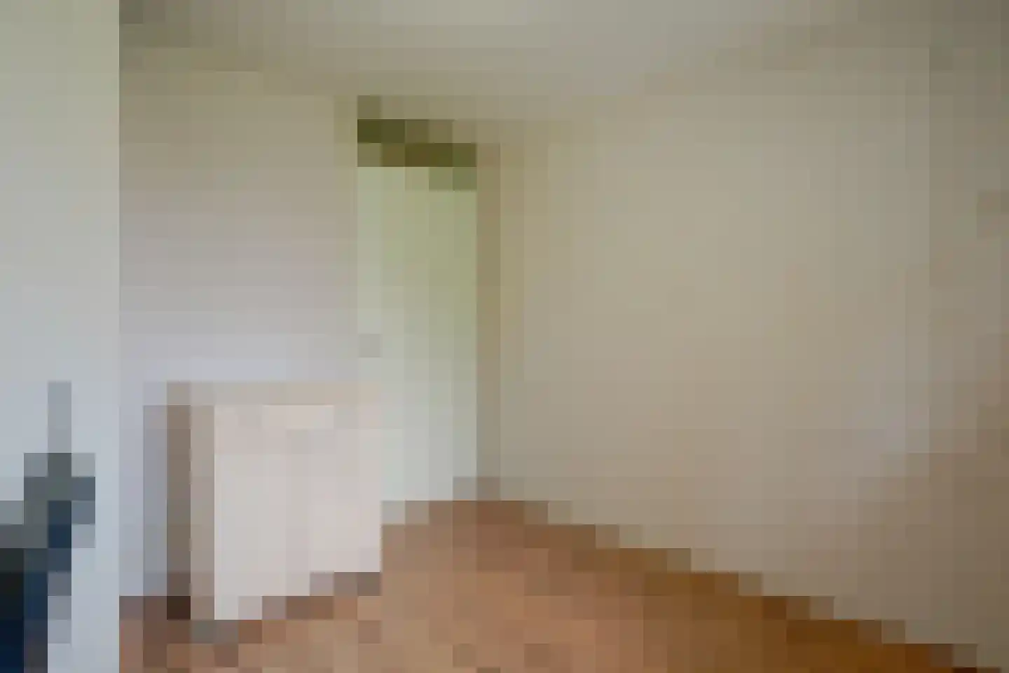 Van Geenstraat 34 Den Haag thumbnail 15