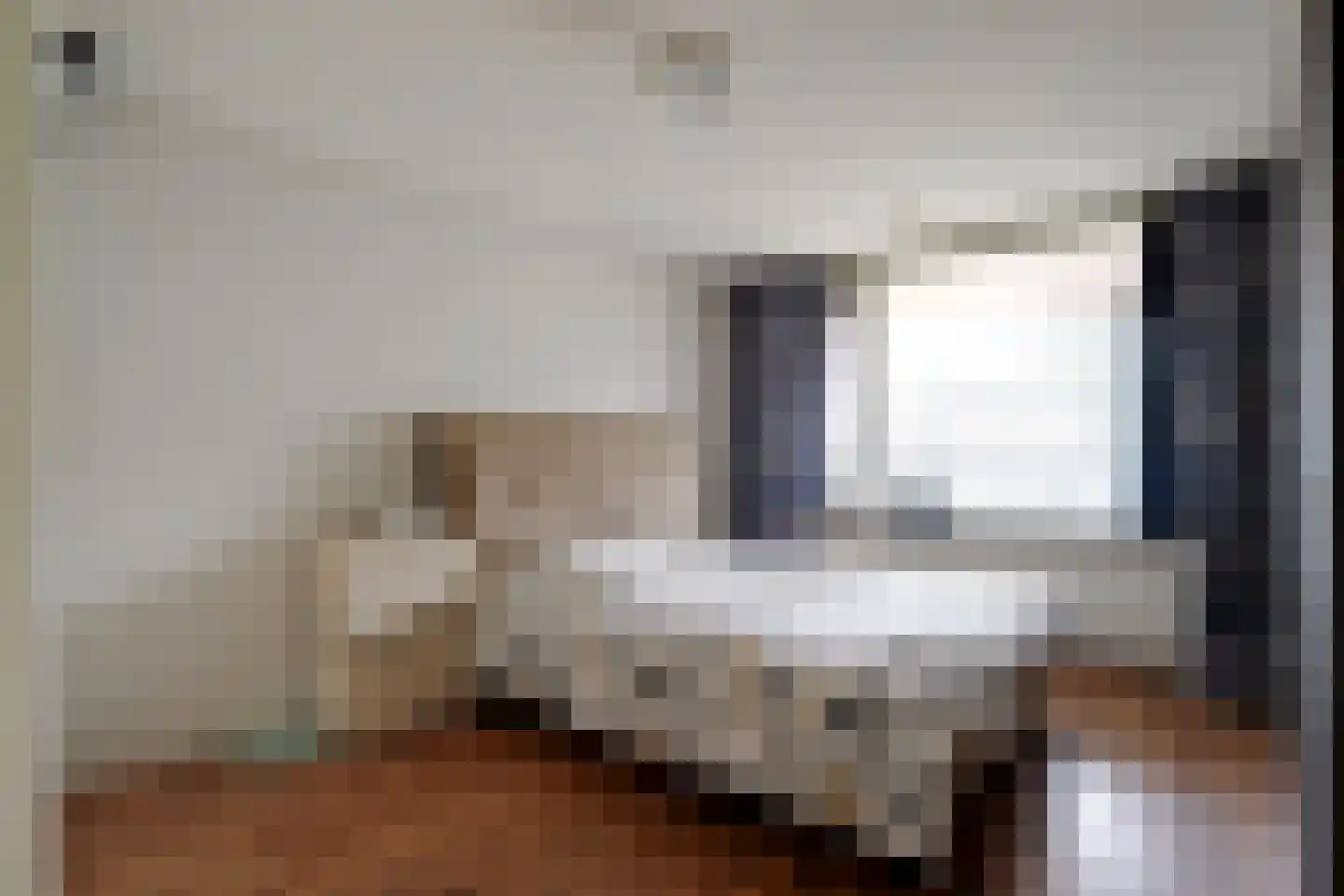 Van Geenstraat 34 Den Haag thumbnail 32