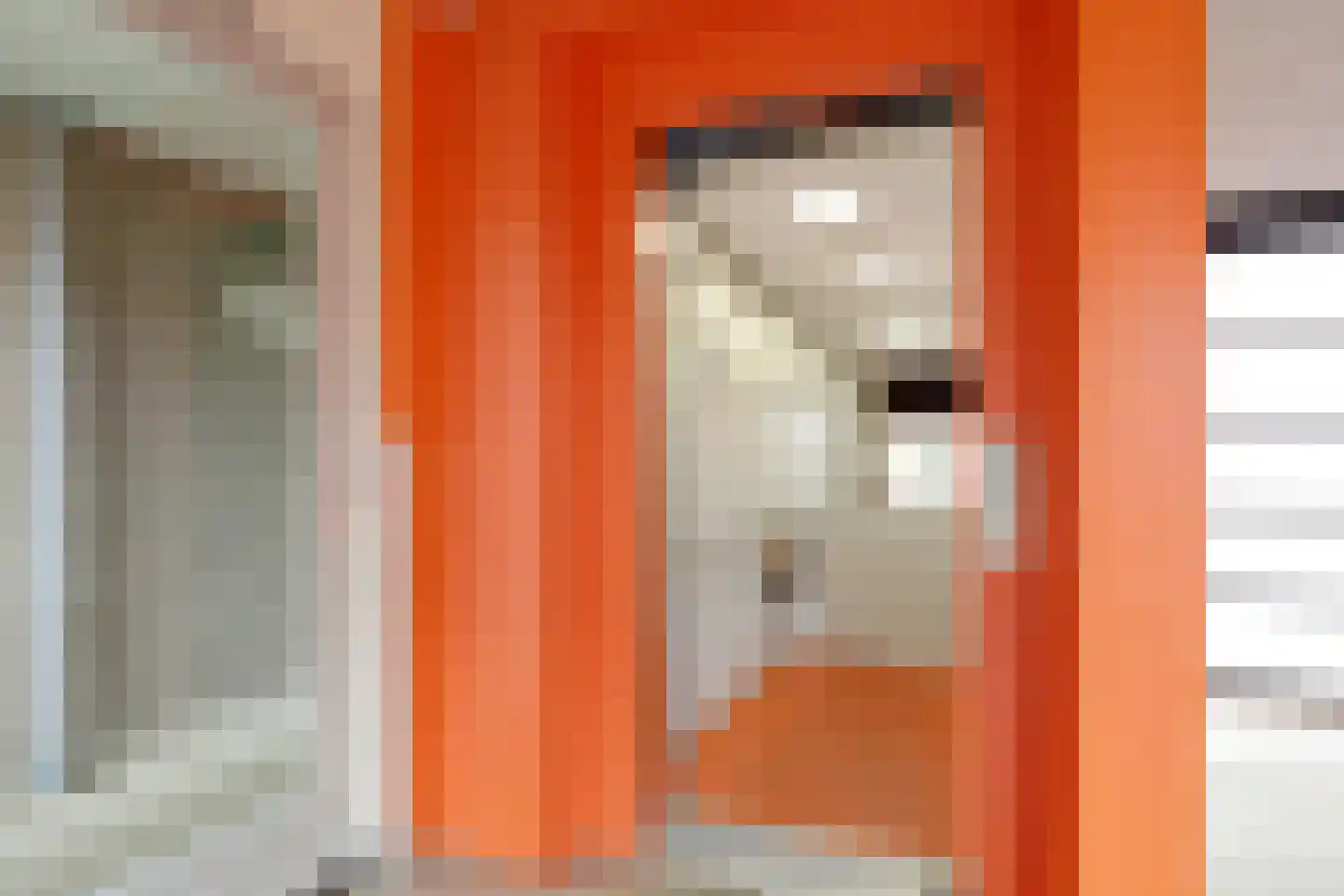 Van Geenstraat 34 Den Haag thumbnail 6