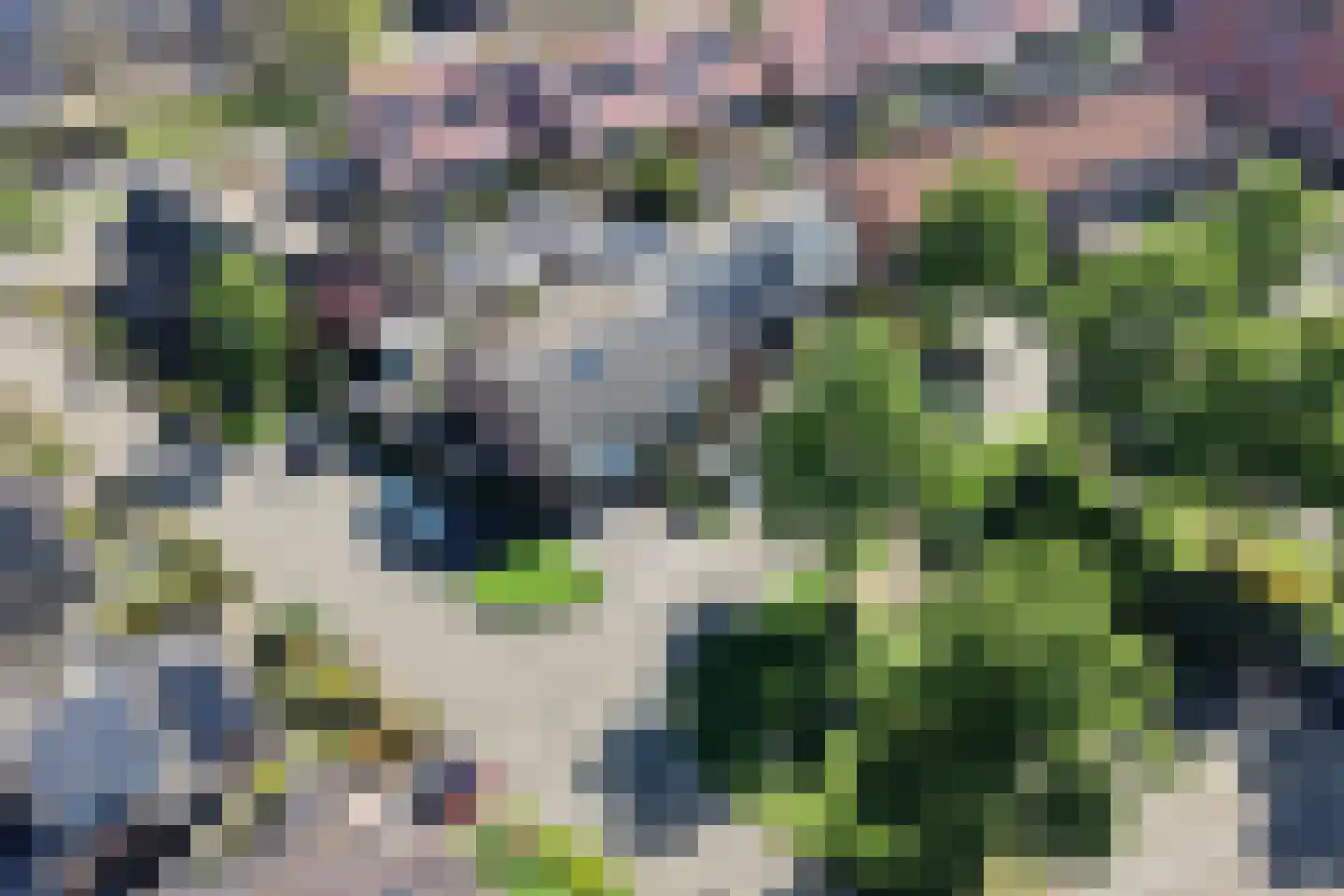 Van Geijnstraat 7 Achterveld thumbnail 35
