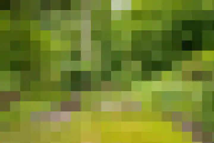 Van Gelderlaan 51 Hilversum thumbnail 10