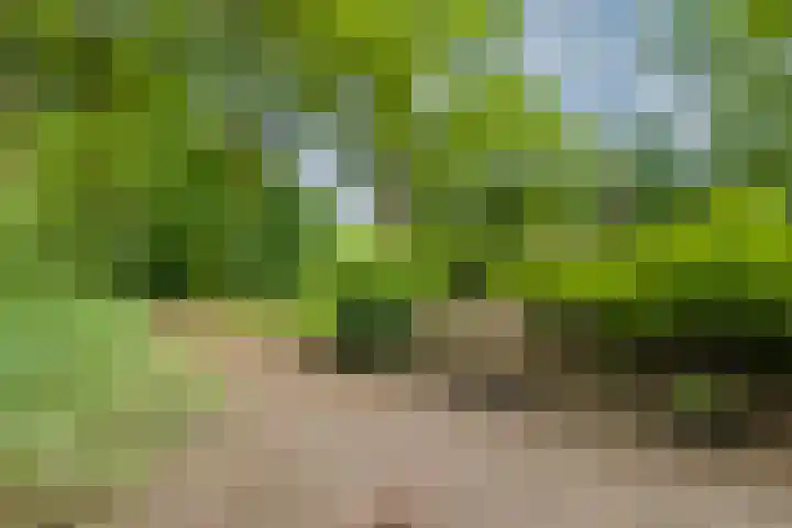 Van Gelderlaan 51 Hilversum thumbnail 29