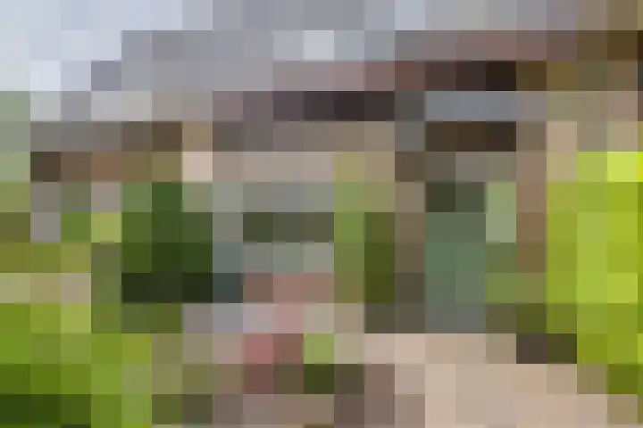 Van Gelderlaan 51 Hilversum thumbnail 4