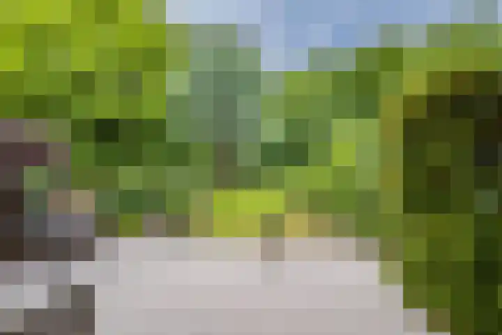 Van Gelderlaan 51 Hilversum thumbnail 9