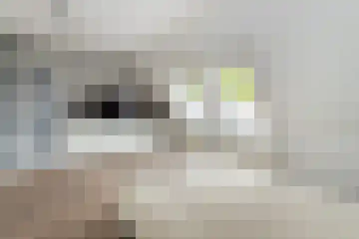 Van Gelderlaan 63 Hilversum thumbnail 24