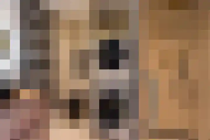 Van Gelderlaan 63 Hilversum thumbnail 36