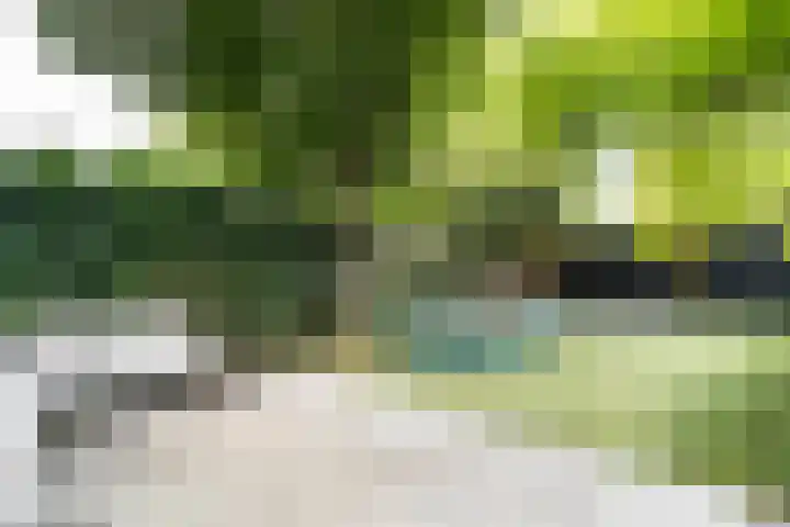 Van Gelderlaan 63 Hilversum thumbnail 42