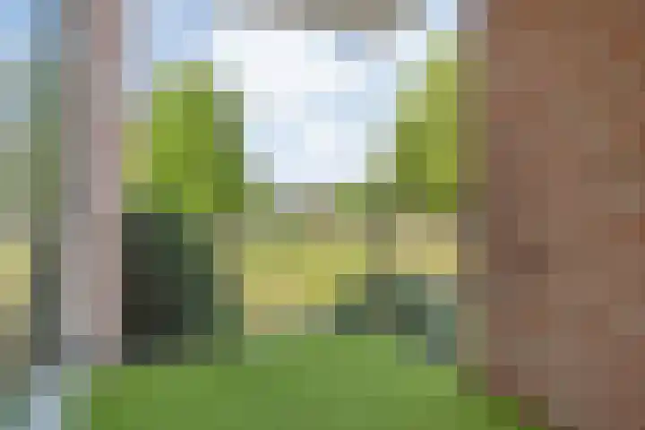 van Gelderplantsoen 18 Kampen thumbnail 16