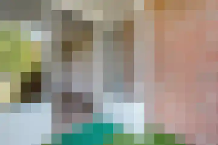 van Gelderplantsoen 18 Kampen thumbnail 17