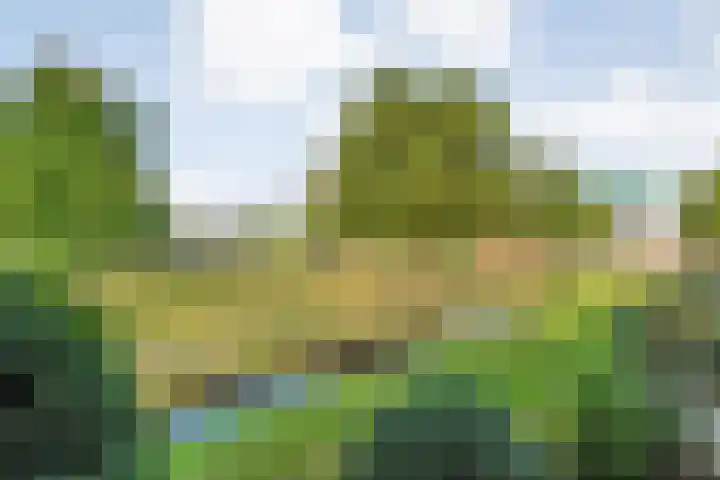 van Gelderplantsoen 18 Kampen thumbnail 18