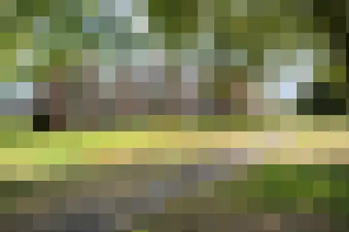 van Gelderplantsoen 18 Kampen thumbnail 25