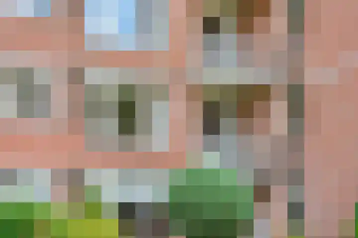 van Gelderplantsoen 18 Kampen thumbnail 26