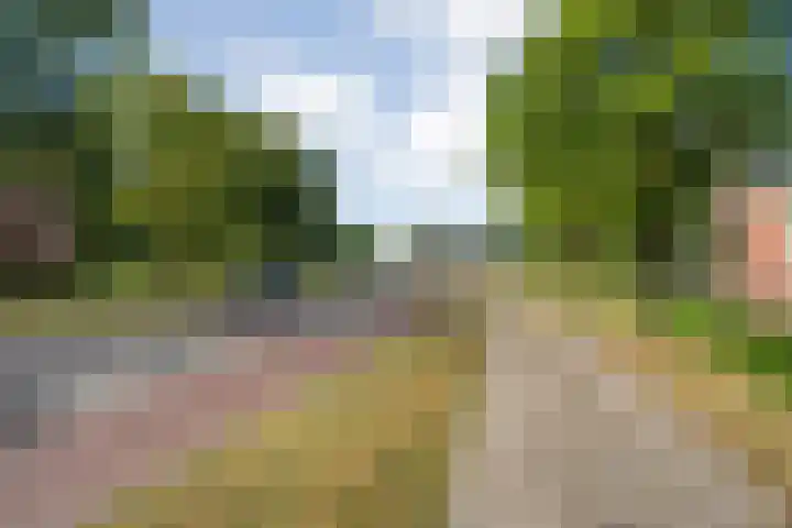 van Gelderplantsoen 18 Kampen thumbnail 28