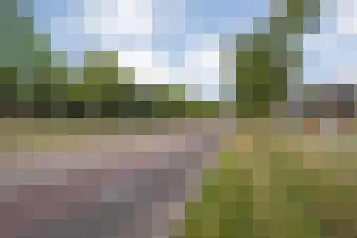 van Gelderplantsoen 18 Kampen thumbnail 29