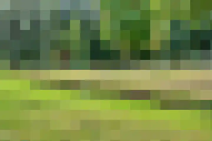 van Gelderplantsoen 18 Kampen thumbnail 30