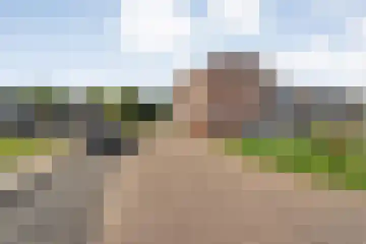 van Gelderplantsoen 18 Kampen thumbnail 31