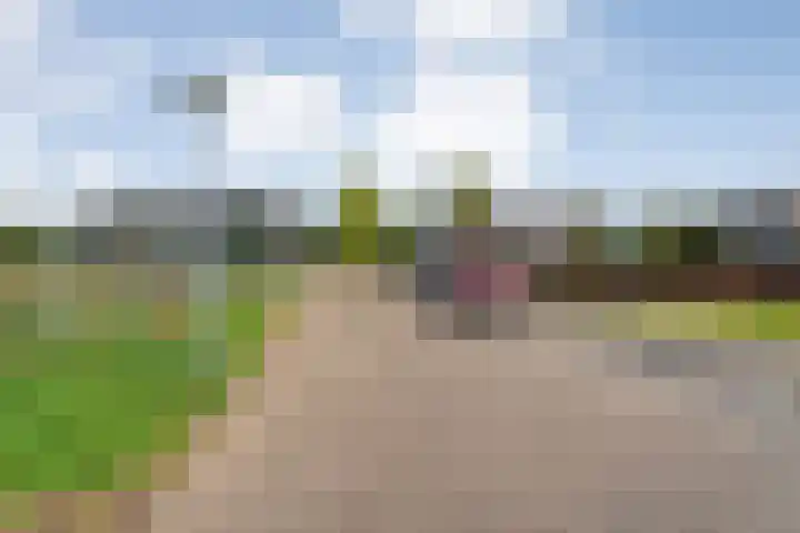 van Gelderplantsoen 18 Kampen thumbnail 32