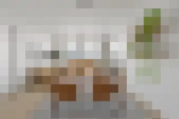 van Gelderplantsoen 18 Kampen thumbnail 4