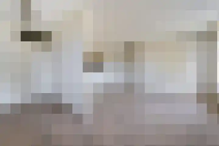 van Gelderplantsoen 18 Kampen thumbnail 5