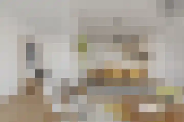 van Gelderplantsoen 18 Kampen thumbnail 6