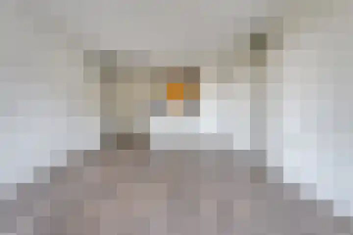 van Gelderplantsoen 18 Kampen thumbnail 7