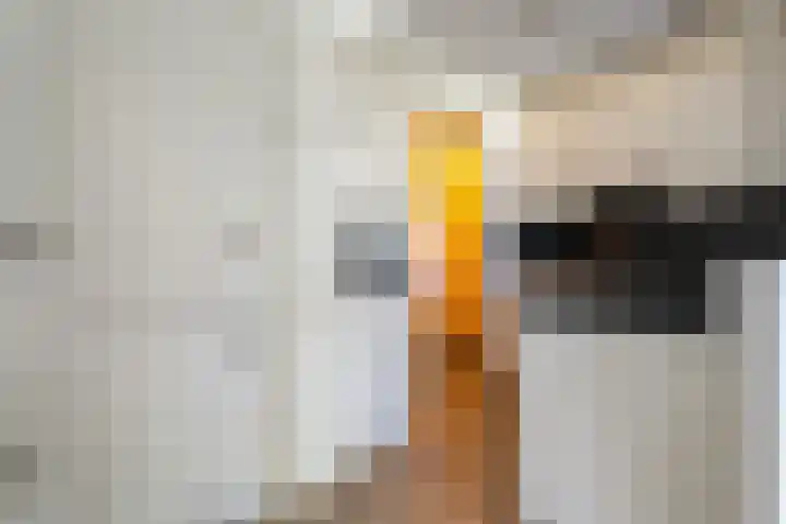 van Gelderplantsoen 18 Kampen thumbnail 8