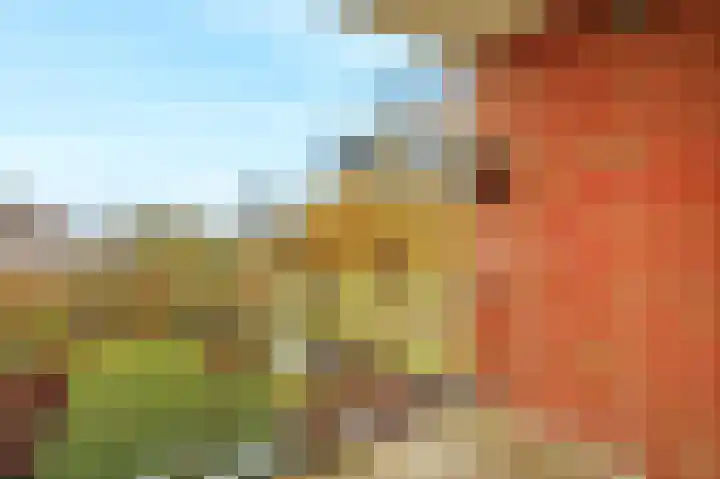 van Gelderplantsoen 19 Kampen thumbnail 18