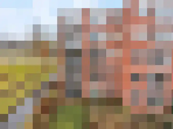 van Gelderplantsoen 19 Kampen thumbnail 30