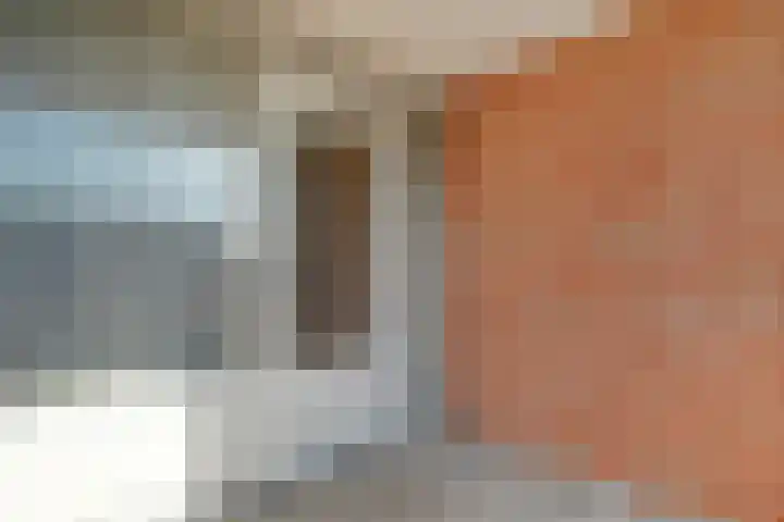 van Gelderplantsoen 20 Kampen thumbnail 15