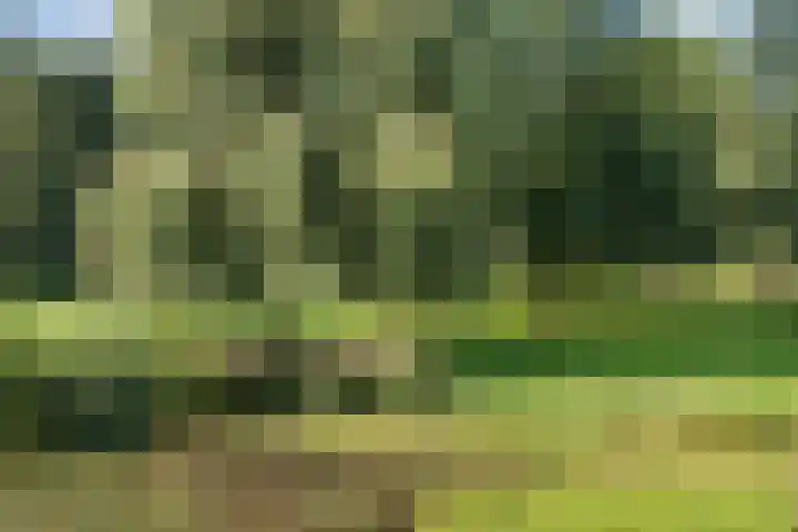 van Gelderplantsoen 20 Kampen thumbnail 22