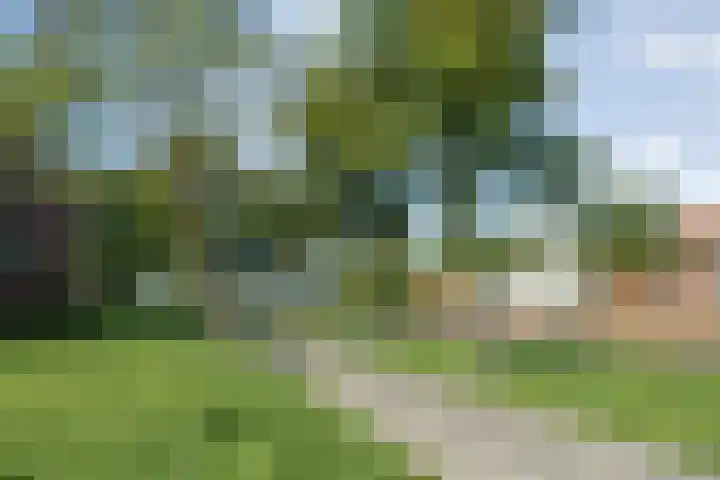 van Gelderplantsoen 20 Kampen thumbnail 25