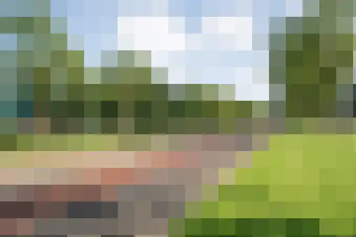 van Gelderplantsoen 20 Kampen thumbnail 26