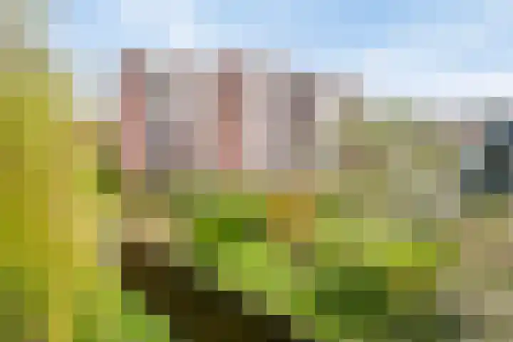 van Gelderplantsoen 20 Kampen thumbnail 29
