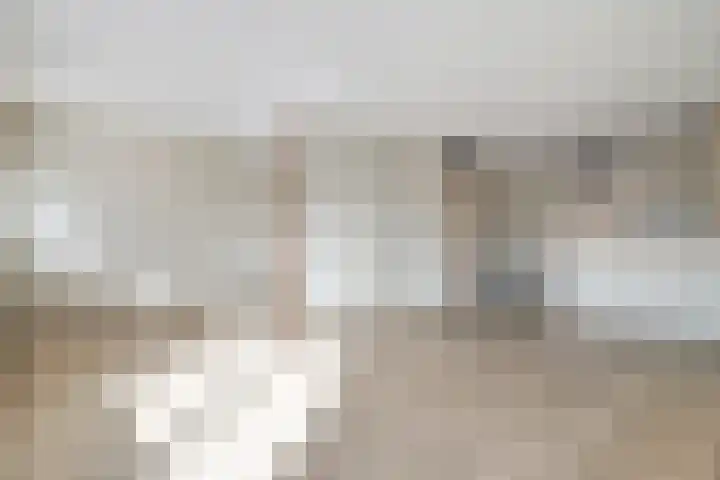 van Gelderplantsoen 20 Kampen thumbnail 4