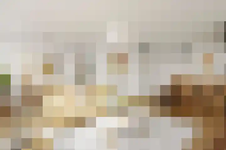 van Gelderplantsoen 20 Kampen thumbnail 5