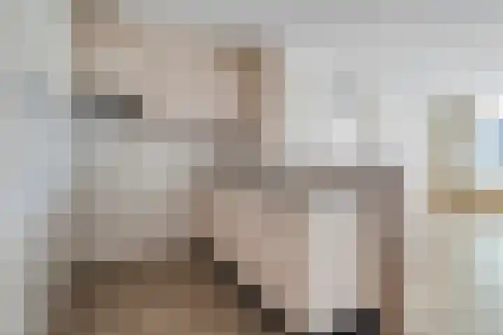 van Gelderplantsoen 20 Kampen thumbnail 9