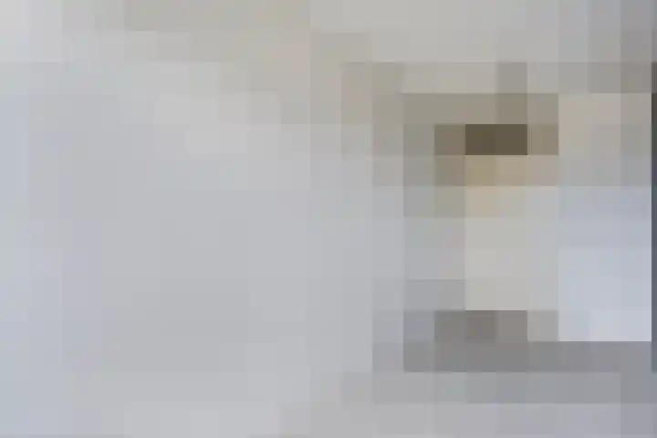 van Gelderplantsoen 25 Kampen thumbnail 12