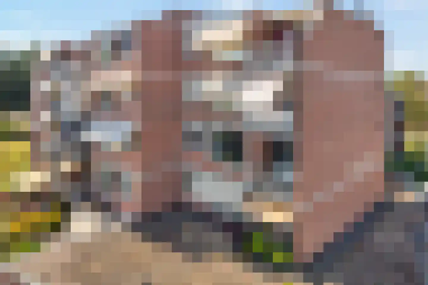 van Gelderplantsoen 34 Kampen thumbnail 32