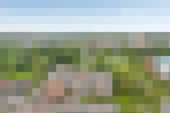 van Gelderplantsoen 36 Kampen thumbnail 20